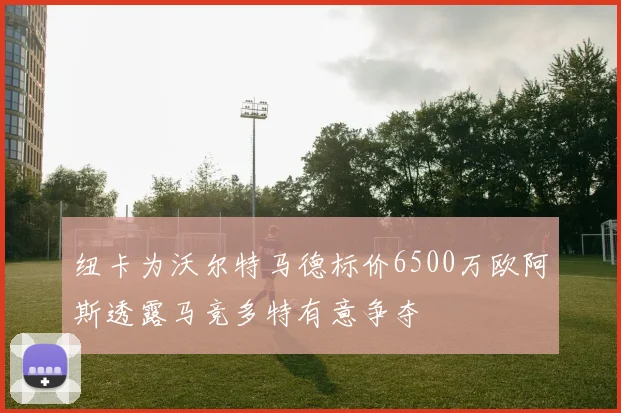 纽卡为沃尔特马德标价6500万欧阿斯透露马竞多特有意争夺